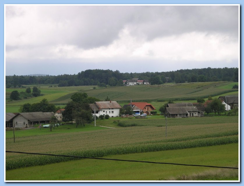 IMGP2851
