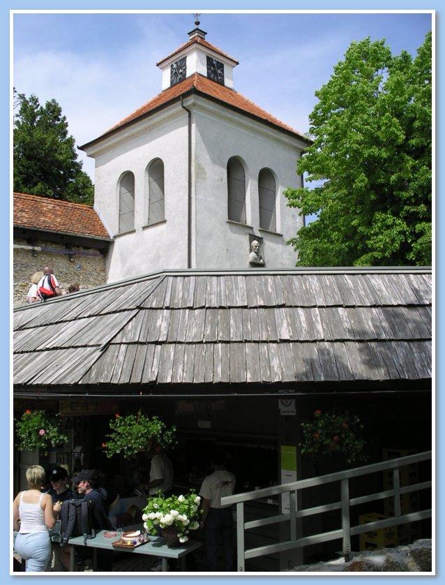IMGP2464